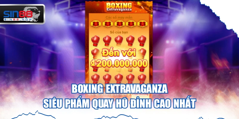 Boxing Extravaganza