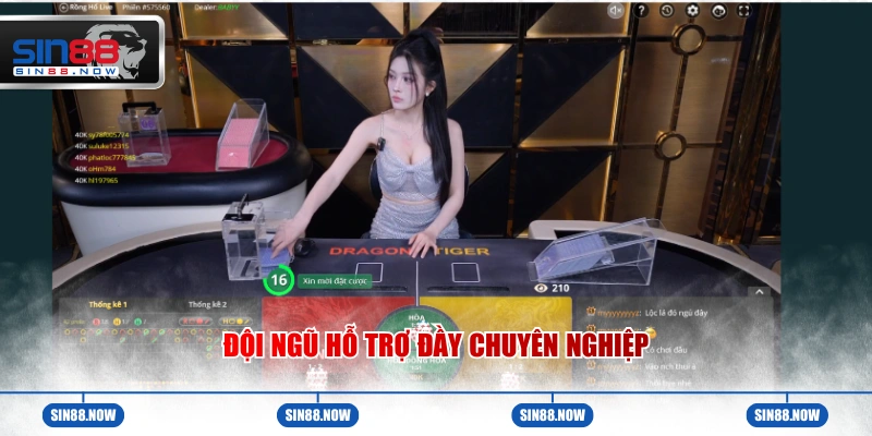 Đội ngũ hỗ trợ đầy chuyên nghiệp