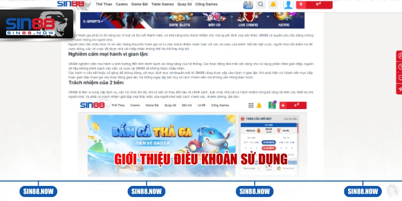 Giới thiệu về điều khoản sử dụng tại Sin88