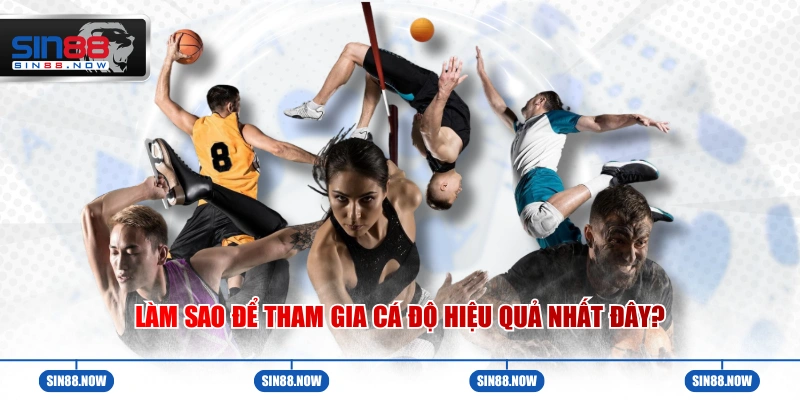 Làm sao để tham gia cá độ hiệu quả nhất đây?