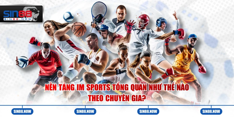 Nền tảng IM Sports tổng quan như thế nào theo chuyên gia?