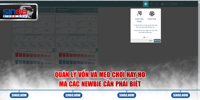 Quản lý vốn và mẹo chơi hay ho mà các newbie cần phải biết